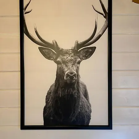 Nyaraló Veluwse *